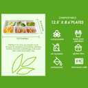 Vplus 100% Compostable 5 Compartment Paper Plates, 100 Pack, 12.5 x 8.6 inch Disposable School Lunch Trays, Eco-Friendly Bagasse Plates for Buffet, and Party