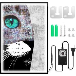 LED Poster Frame 20" x 28" with Dimmer, Dual Orientation Horizontal/Vertical Mount, Edge-Lit Backlight - Fits 19 "x 27.4" Posters - Home Theater, Office, Retail Commercial & Residential Signage