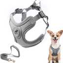 Dog Harness with Leash Set, Puppy Harnesses with Breathable Padded for Small Dogs Training and Running(XS, Gray)