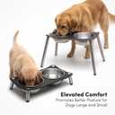 xympo Adjustable Elevated Dog Bowl 56 fl oz Stainless Steel Bowls