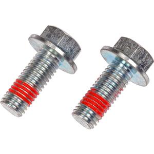 Dorman 14010 Rear Caliper Bracket Bolt Compatible with Select Models, 2 Pack