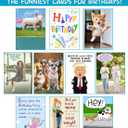 4 x Funny Cat Birthday Cardfor Women, Men, Coworkers, Friends & Family plus Free bonus Postcard included - a little birdie told us you're a year older