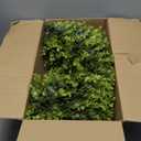 20 Inch Boxwood Front Door Wreaths, Spring and Summer Outdoor Wreath for Front Door, All Seasons Artificial Green Wreath for Farmhouse Wedding Porch Wall All Seasons Indoor Decorations