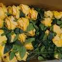 LFF 50Pcs Realistic Yellow Artificial Roses - Premium Velvet Faux Flowers for Wedding Bouquet, Centerpieces, Home & Party Decoration(Yellow)