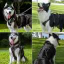 EXCELLENT ELITE SPANKER Escape Proof Dog Harness Reflective Harness with Padded Handle Breathable Durable Adjustable Vest for Medium Large Dogs Walking Training and Running Gear (Black)