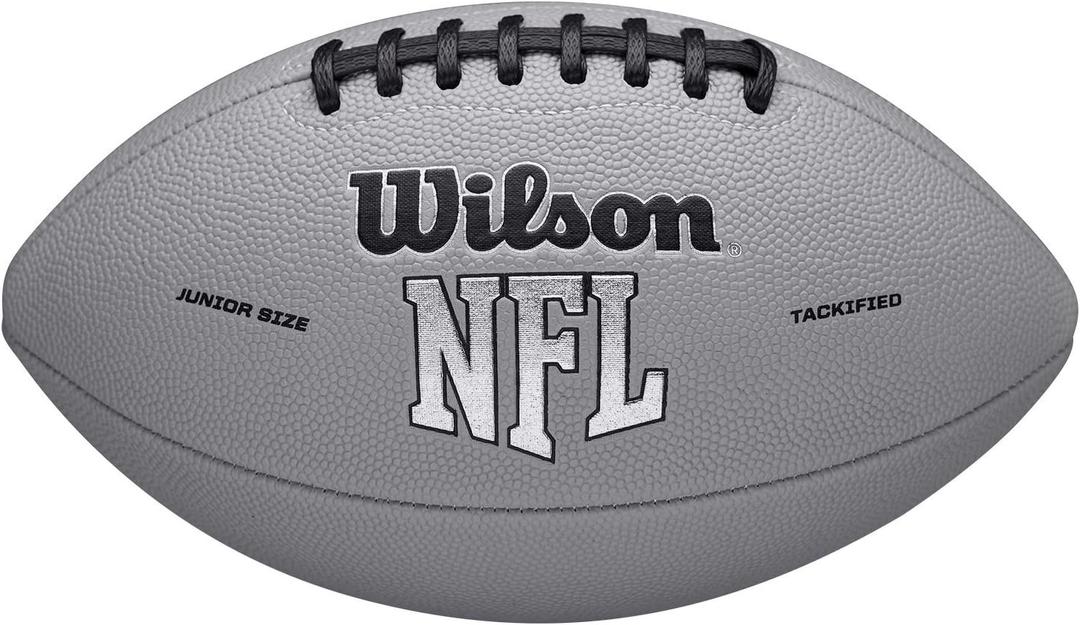 WILSON NFL Recreational Footballs