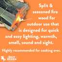 Billy Buckskin 18 LB Mesquite Firewood Bundle  Aromatic & Seasoned Wood Logs with Fatwood Starter Sticks for Fire Pit, Campfire, Fireplace, Wood Stoves and Outdoor Grilling