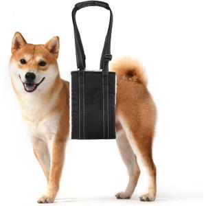 Adjustable Dog Lift Harness Dog Sling Portable Dog Sling for Back Legs Harness for Senior,Injured,Disabled Dogs After ACL Surgery (M)