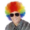FREE BEAUTY Fluffy Afro Synthetic Clown Wig for Men Women Cosplay Anime Party Christmas Halloween Fancy Funny Wigs (Rainbow) (Multi-color), 9.8 inches, weight 4.2 oz.