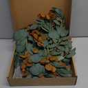 Ling's Moment Eucalyptus Flower Greenery Garland with Willow Leaves 2pcs, 5.9ft Hanging Italian Ruscus Vines Rustic Wreath Swags for Table Centerpieces Wedding Arch Decor, Terracotta Flowers