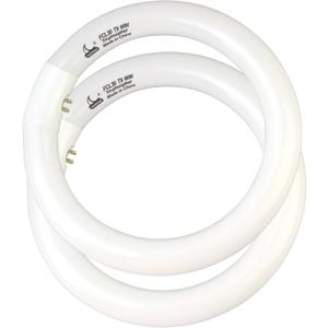 CHKADAWA FCL30/30K T9 9 inch 30 Watts Circular Fluorescent Light Bulbs, Round FCL30EX-L 27K Circline Light Bulb FC9T9/KB 30W 830 3000K, 32030 WW Warm White, G10q 4 Pin Base, 2 Pack
