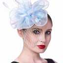 SAFERIN Fascinators Hat Flower Mesh Ribbons Feathers on a Headband and a Clip Tea Party Headwear for Girls and Women