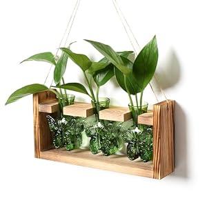 Glass Plant Propagation Station Butterfly Planter Vase with Wooden Stand Birthday Gifts for Women Mom Plant Lovers Office Home Decoration