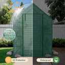 Greenhouse for Outdoors, Small Greenhouse, Walk-in Greenhouses with 3 Tiers 4 Shelves, PE Cover, Heavy Duty Plant Greenhouses for Garden and Backyard