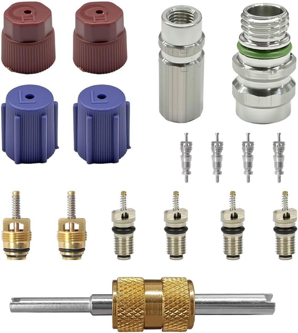 17PCS Car Air Conditioning Valve Core Kit, R12 R134A Teflon Seal Cap Valve Kit with Removal Tool for High Low-Pressure A/C Service Port, Car & HVAC AC Refrigerant Tool (Red)