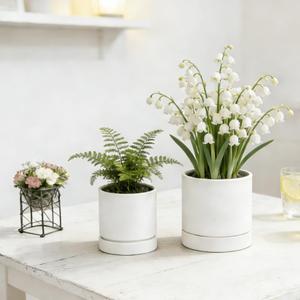 GreenShip Planter Set of 2 (9.8" & 7.8") – Cylinder Planters with Drainage Hole and Planter Saucer, Jun Porcelain Clay & Recycled Resin, Decorate Home,Office & Outdoor,White pots