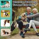 Dog Knee Brace for Torn Acl Hind Leg, Adjustable for Back Leg with 4 Stabilizers, Reduces Pain, Ligament Injuries & Luxating Patella for Small Medium Large Dogs, (Solid Black-M)
