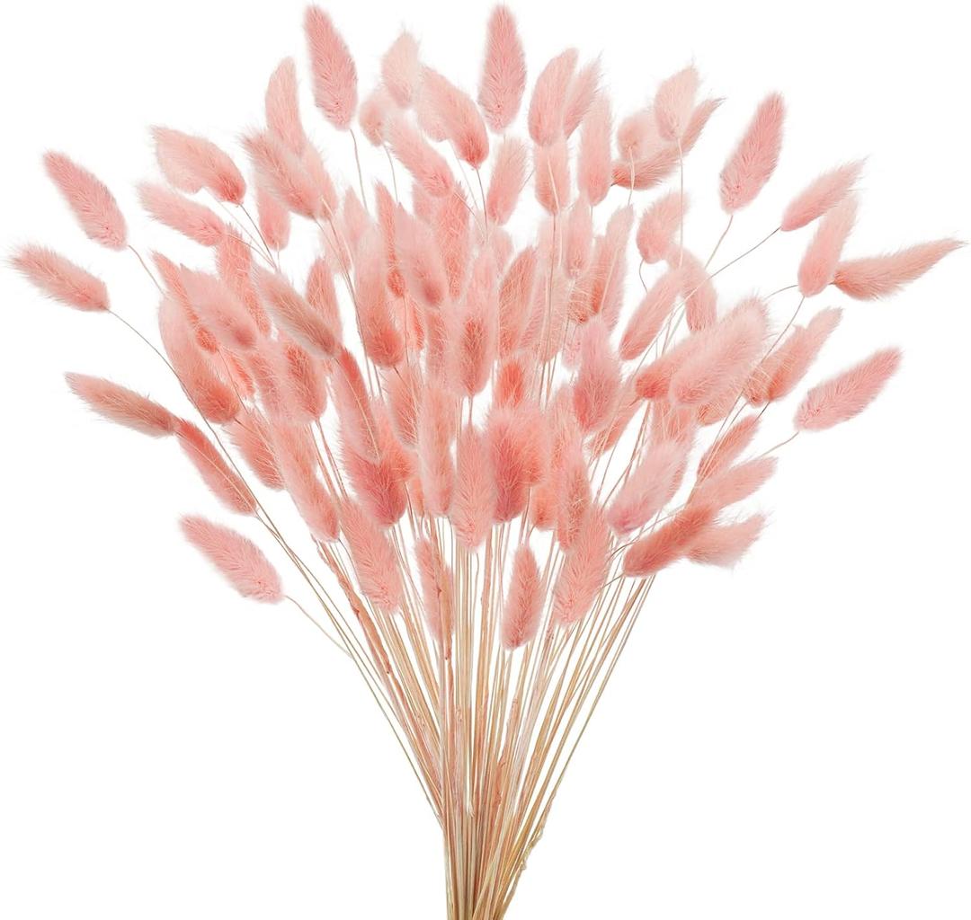 Uieke 17 Natural Bunny Tails Dried Flowers, 240 Pcs Dried Lagurus Ovatus, Dried Pink Pampas Grass Decor for Farmhouse Flower Arrangements Wedding Home Party Decorations
