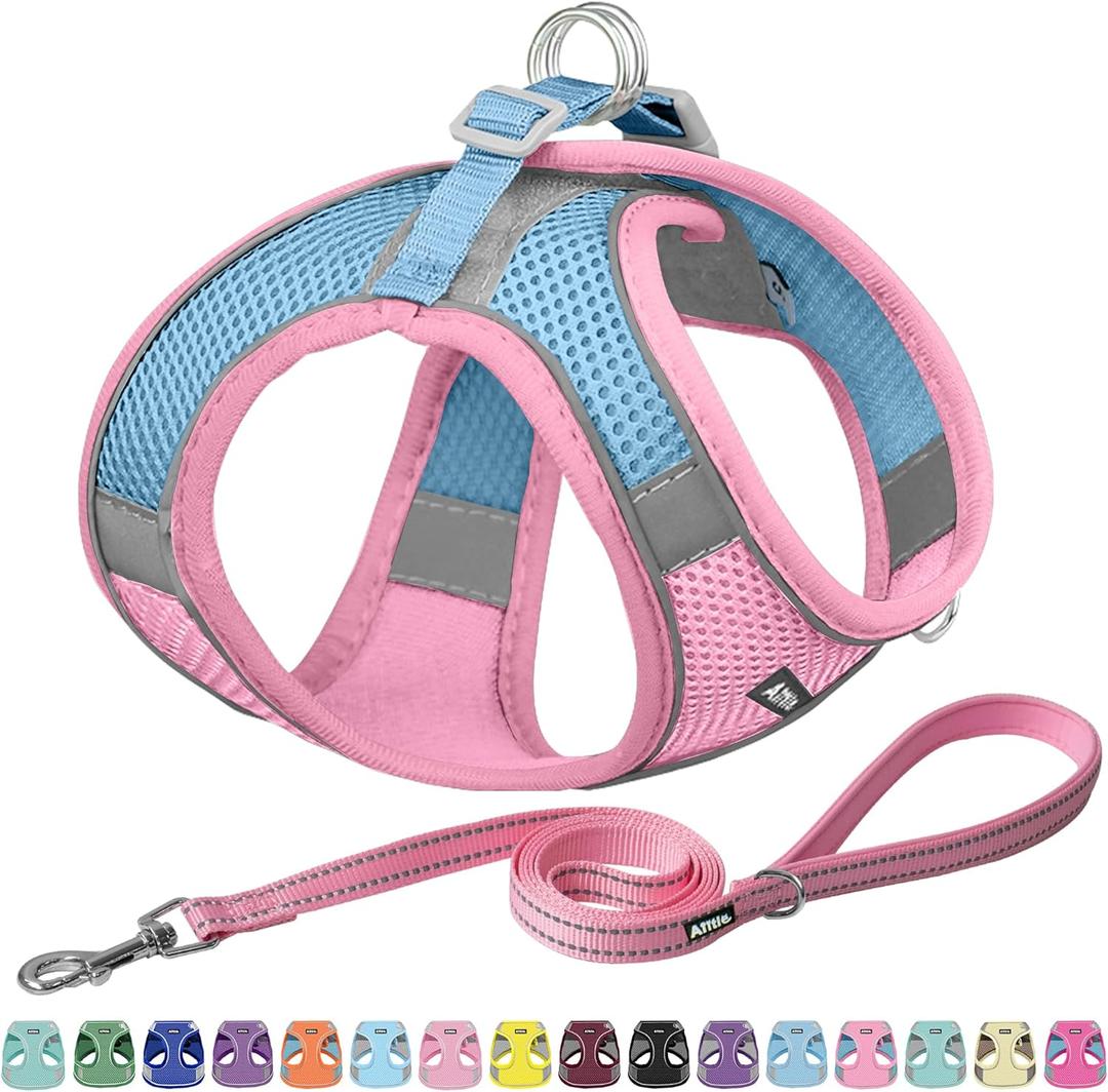 AIITLE Step in Dog Harness and Leash Set - Summer No Pull Escape Proof Vest Harnesses with Soft Mesh and Reflective Bands, Adjustable Pet Outdoor Harnesses for Small and Medium Dogs Pink M (M(Chest: 16 - 18"))