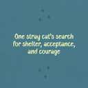 Harvey and the Collection of Impossible Things