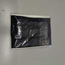 Capezio Women's Studio Basics Tight (Black)