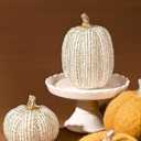 Fall Thanksgiving Pumpkin Decor Figurines, 2 PCS Fake Pumpkin Statues for Tabletop Decorating, White and Gold Resin Pumpkins for Autumn Harvest Luxury Fall Home Decor, Farmhouse, Gift Package (Set of 2)