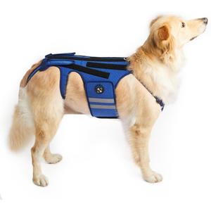 Coodeo Dog Back Brace for Dogs Arthritis, Pet Back Bracer for IVDD, Back Protector Helps Pain Relief, Surgical Recovery and Rehabilitation, Dogs Back Disease Prevention. (Blue,Large)