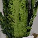 FOREST PRINCE 35" Fake Ferns Artificial Bush Plants for Outdoors, 2-Pack