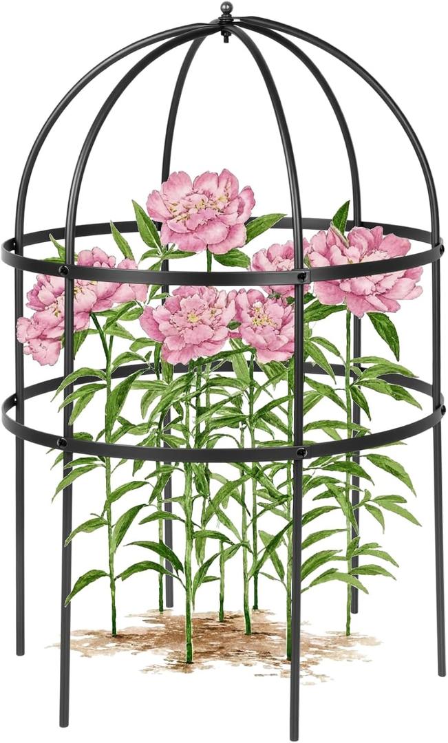 1 Pcs Jardin Bird Cage Plant Support 24" H Large Sturdy Grow-Through Flower Support Peony Cage Climbing Plant Support Trellis Sculptural Garden Decor for Perennial Flowers (Black)