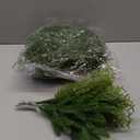 Christmas Pine Placemats Set of 6 16 Inch with Artificial Pine Needles Branches 2 Types 24 Pack Green Plants Fake Cedar Greenery Round Placemats for Table Dining Christmas Decorations