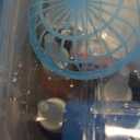 Magic Water Elf Toy Kit for Kids Ages 3-12, DIY Sensory Craft with 20 Bottles of Magic Gel, 20 Molds, STEM Educational Science Activity, Water Beads for Kids Ages 6-12, Birthday Party Gifts