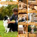 3 x Effectively | Bitter Apple Spray for DogsNo Chew Spray for Dogs,Specially Designed to Prevent Dogs from Chewing and Licking Furniture and belongings (Non-Toxic and Alcohol-Free)