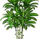 Dolicer 5FT Tall Look Real Artificial Dracaena Tree Indoor with Black Planter, Realistic Artificial Fake Faux Indoor Plants with Natural Trunk and Lifelike Leaves for Home Office Living Room