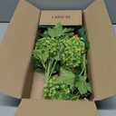 DILATATA Faux Hydrangea Flowers 31" Green Artificial Hydrangea Spray with 5 Flower Heads, 3 Per Bag.Faux Hydrangeas Plastic Flowers Fake Hydrangeas for Indoor Outdoor Wedding Table Centerpieces Decor