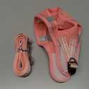 YIMEIS Dog Harness and Leash Set, No Pull Soft Mesh Pet Harness, Reflective Adjustable Puppy Vest for Small Medium Large Dogs, Cats (Pink, Small (Pack of 1)