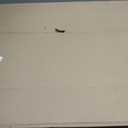 Floor Mats & Cargo Liner Custom Fit for Ford Mustang 2026 2025 2015-2024