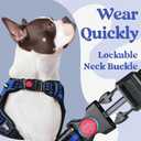 rabbitgoo Dog Harness for Large, No Pull Pet Harness with 3 Buckles, Adjustable Soft Padded Pooch Vest with Instant Control Handle, Easy Walking Reflective Pet Vest for Extra Large Dogs, Blue, XL