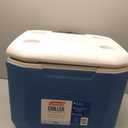 Coleman Chiller Cooler with Ice Retention, Leak Resistant, Great for Camping, Concerts, Sports, and More, Size: 60qt