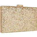 CARIEDO Women's Sparkling Clutch Purse Elegant Glitter Evening Bags Bling Evening Handbag for Dance Wedding Party Prom Bride