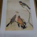 8x12 Picture Frame, Gold Metal Photo Frames with HD Glass, Fits 6x8 with Mat or 8 x 12 without Mat, Display for Wall and Table, 1 Pack