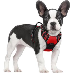 rabbitgoo Dog Harness No Pull with 2 Leash Clips, Adjustable Soft Padded, Reflective Oxford No Choke Pet Vest with Easy Control Handle for Small Dogs, Red, S