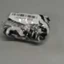 Petitebella Cute Pumpkin Puppy Dog Shirt (Striped, Medium)