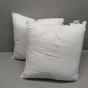 Set of 2, Square Decorative Throw Pillows Inserts Down Alternative Pillow Insert for Bed Sofa, 16 X 16 Inches