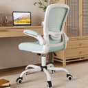 Mimoglad Ergonomic High Back Mesh Office Chair, Adjustable Lumbar Support, Thickened Seat Cushion (Modern, Tiffany Blue)