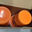 Ziliny 100 Pack Graduation Decorations 2026 16 oz Graduation Plastic Cups Congrats Grad Disposable Drinkware for Class of 2026 Grad Festivities Essential Graduate Party Favor Supplies (Orange)