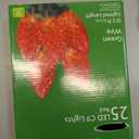 LED C9 Green-Wire Christmas Lights - Red, 25 ...