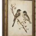 Vintage Gold Framed Wall Art Neutral Summer Bird Wall Art Vintage Botanical Birds Nature Wall Decor Picture Rustic Cottage Gallery Poster Print for Living Room Bedroom 12x16in