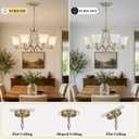 6 Lights Brushed Bronze Dining Room Light Fixture Farmhouse Modern Chandelier Pendant Light Champagne Bronze Adjustable Ceiling Hanging Lighting with Frosted Glass for Kitchen Island Living Room Foyer, 27.5" diameter x 18.1" height