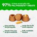 Greenies Pill Pockets for Dogs Large Size, Dog Treat Pouch for Capsule Medication, Cheese Flavor, 15.8 oz. Pouch (EXP 05/19/27)