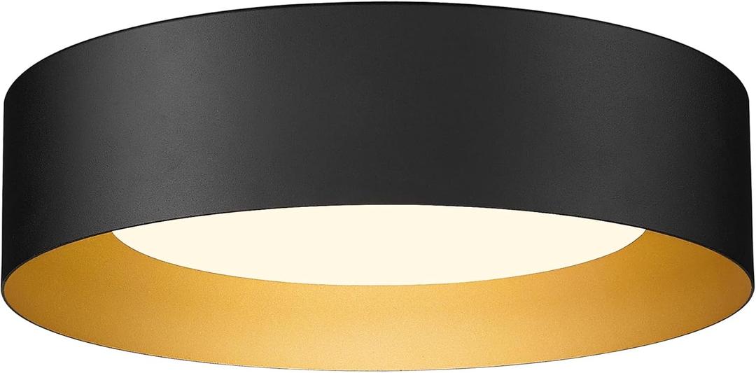 AUTELO Flush Mount Ceiling Light, 14" Frosted Glass Shade Close to Ceiling Light Fixture in Black Finish E26 Socket for Living Room Hallway Bedroom C3336XS BK